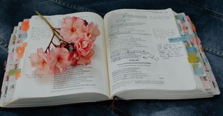 What Does God Love? - Crosswalk the Devotional - November 17