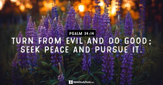 Your Daily Verse - Psalm 34:14
