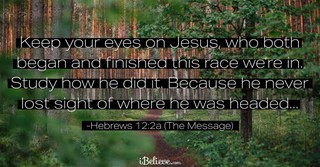Your Daily Verse - Hebrews 12:2