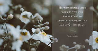 Your Daily Verse - Philippians 1:6