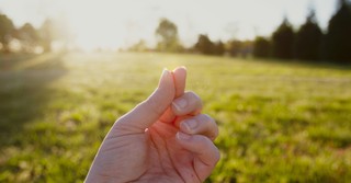 What It Looks Like to Have the “Faith of a Mustard Seed”