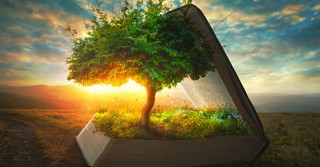 How 3 Biblical Trees Reveal the Wonder of Salvation