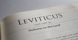 Why Should We Bother Reading Leviticus?