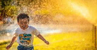 Bible Verses about Positivity