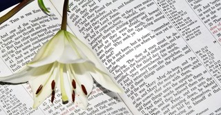 He Is Risen Bible Verses