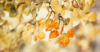 September Bible Verses: Daily Scriptures for the Month