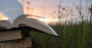 stack of bibles outdoors in wildflower field, is nicene creed biblical