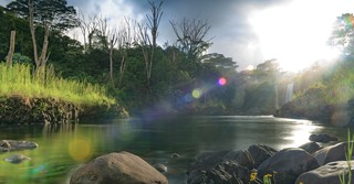 What Are the Rivers of Living Water?