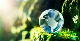 Glass world in grass