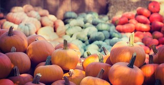 October Bible Verses: Daily Scriptures for the Month