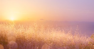 Finding God in Creation (Romans 1:19-20) - Your Daily Bible Verse - November 18