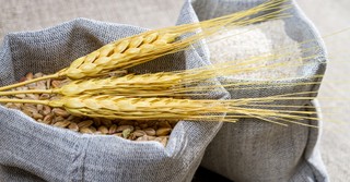 Why Do We Sing about “Bringing in the Sheaves”?