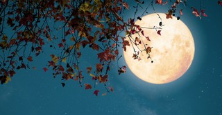 Focus on God, Not on Fear - The Crosswalk Devotional - October 9
