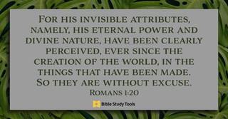 Finding God in Creation (Romans 1:19-20) - Your Daily Bible Verse - November 18