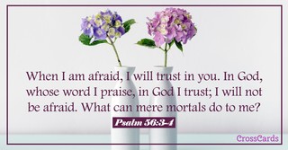 Psalm 56:3-4