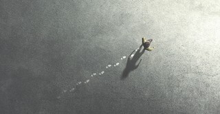 25 Bible Quotes on Faith for When You Can't See God's Next Steps for Your Life