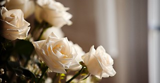 What Does “to the Pure All Things Are Pure” Actually Mean?