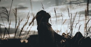 Can the Truth Really Set Me Free? (John 8:32)