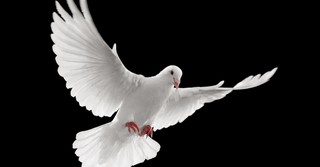 What Is Pneumatology and Why Do We Study the Holy Spirit?