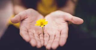 What Does 1 Peter 1:3 Mean and Why Does It Give Us Eternal Hope?