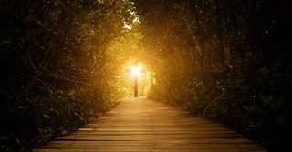 3 Powerful Truths Paul’s Prayers Reveal about Spirit-Led Living