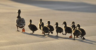 3 Lessons We Learn Following God (Genesis 12:1) - Your Daily Bible Verse - January 19