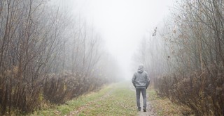 Man wandering in the woods