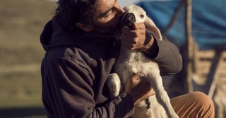 Is Proverbs 12:10 about More Than Caring for Animals?