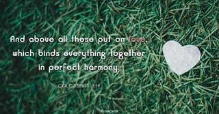 put on love bible verse colossians 3 14