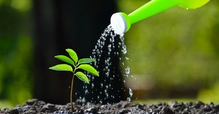3 Little Things That Make a Big Impact for the Kingdom