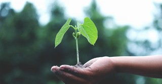 8 Keys to Recognizing Spiritual Growth