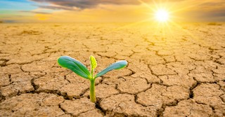 5 Principles of Making Disciples and Enabling Spiritual Growth 