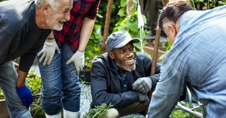 Group of senior adults gardening together