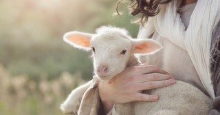 Why Was Jesus Called the Good Shepherd?