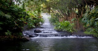What Does the Bible Tell Us about the Garden of Eden? 