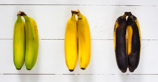 Bananas in decay, study to show ourselves approved