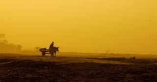 farmer on oxcart