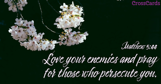 Matthew 5:44