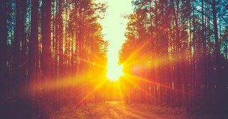 Why Is Jesus Called the "True Light"?