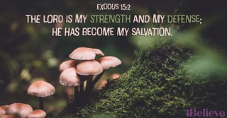 A Prayer for Strength - Your Daily Prayer - November 15