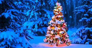 Embrace God's Divine Disruptions This Christmas