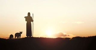 13 Things You Should Never Lack because the Lord Is Your Shepherd