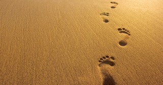 How Did 'Footprints in the Sand' Become So Popular Among Christians?
