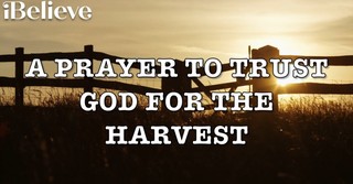 A Prayer to Trust God for the Harvest