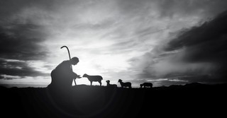 Illustration of a shepherd tending to sheep
