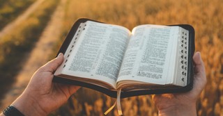 Bible over a wheat field