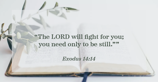Exodus 14:14