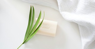 Have You Tried the SOAP Bible Study Method?