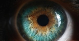 The Lord Has His Eye on You (Psalm 102:19) - Your Daily Bible Verse - June 13