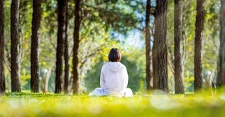 A person sitting outside in nature, enjoying peace and quiet